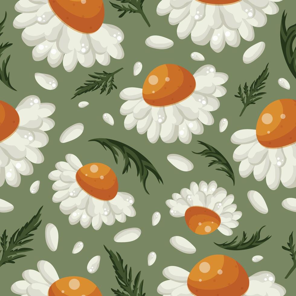 floral seamless pattern with white daisies with yellow centers, green leaves and white petals on a green background, for various packaging or textiles or holiday cards vector
