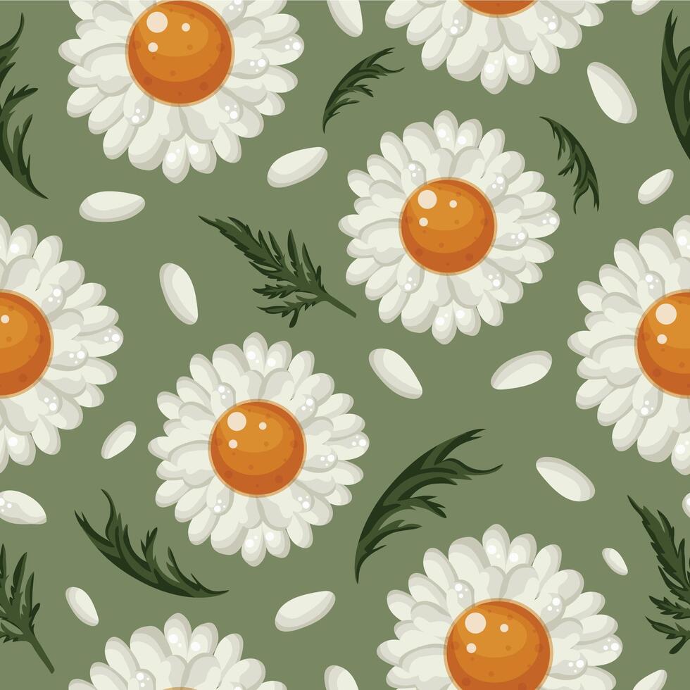 floral seamless pattern with open white daisies, green leaves and white petals on a green background, for various packaging or textiles or holiday cards vector