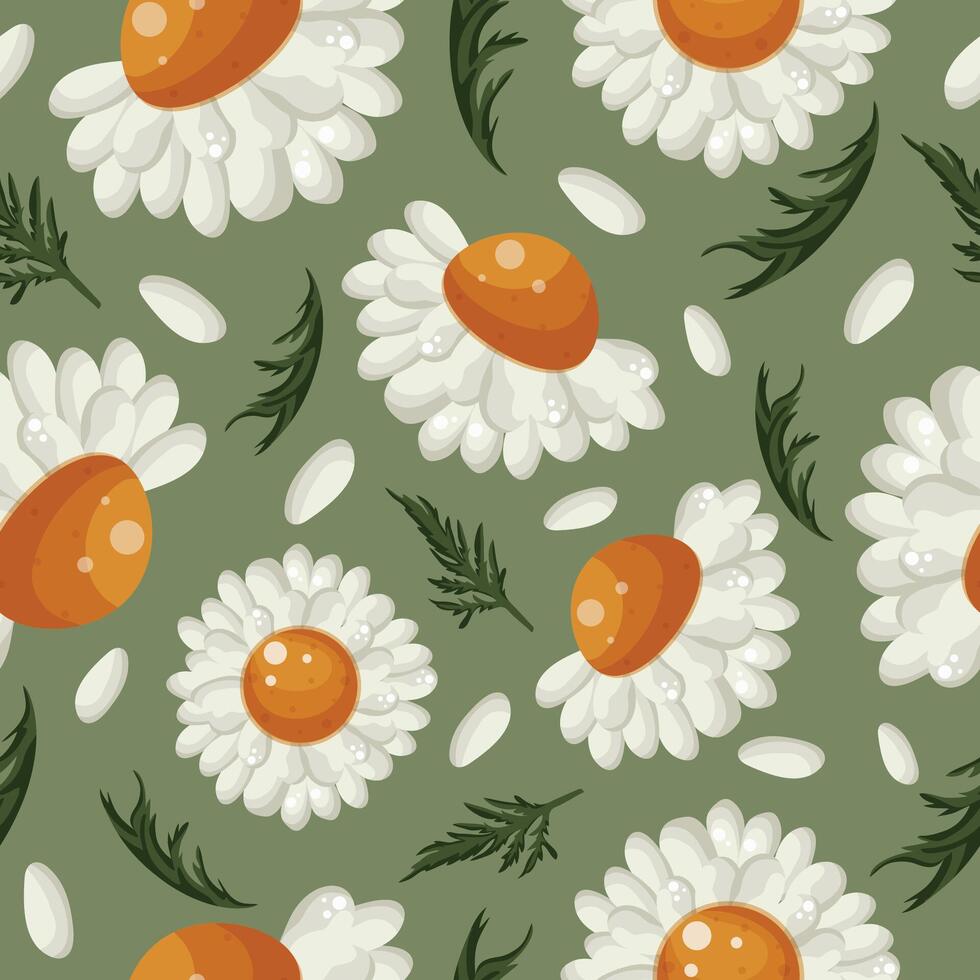 floral seamless pattern with various open white daisies, green leaves and white petals on a green background, for packaging or textiles or holiday cards vector