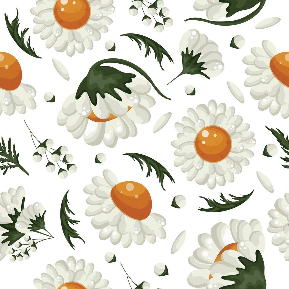 floral seamless pattern with various white daisies buds, green leaves and white petals, for packaging or textiles or holiday cards vector