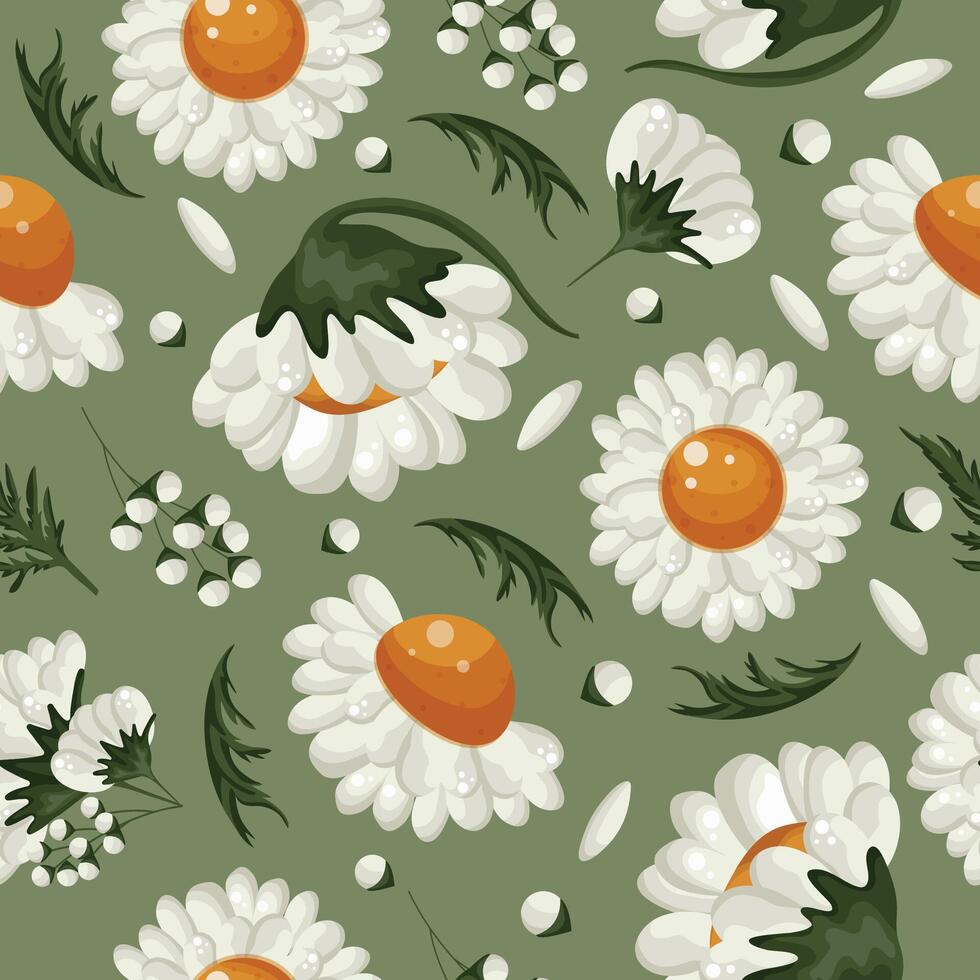 floral seamless pattern with various white daisies buds, green leaves and white petals on a green background, for packaging or textiles or holiday cards vector