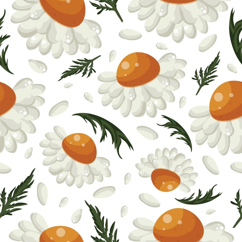 floral seamless pattern with white daisies with yellow centers, green leaves and white petals, for various packaging or textiles or holiday cards vector