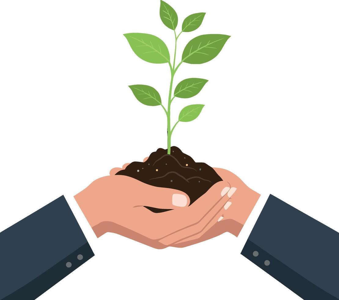 Hands holding soil with a green plant growing, flat illustration of nurturing nature vector