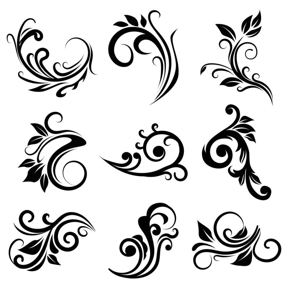 Collection of different scroll branch foliage elements vector