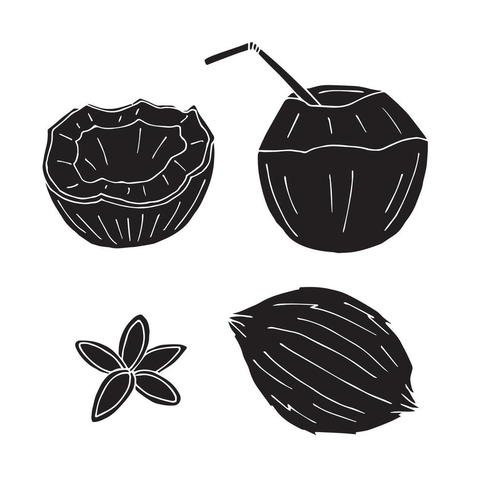 Set bundle of hand drawn doodle sketch coconuts isolated on white background vector