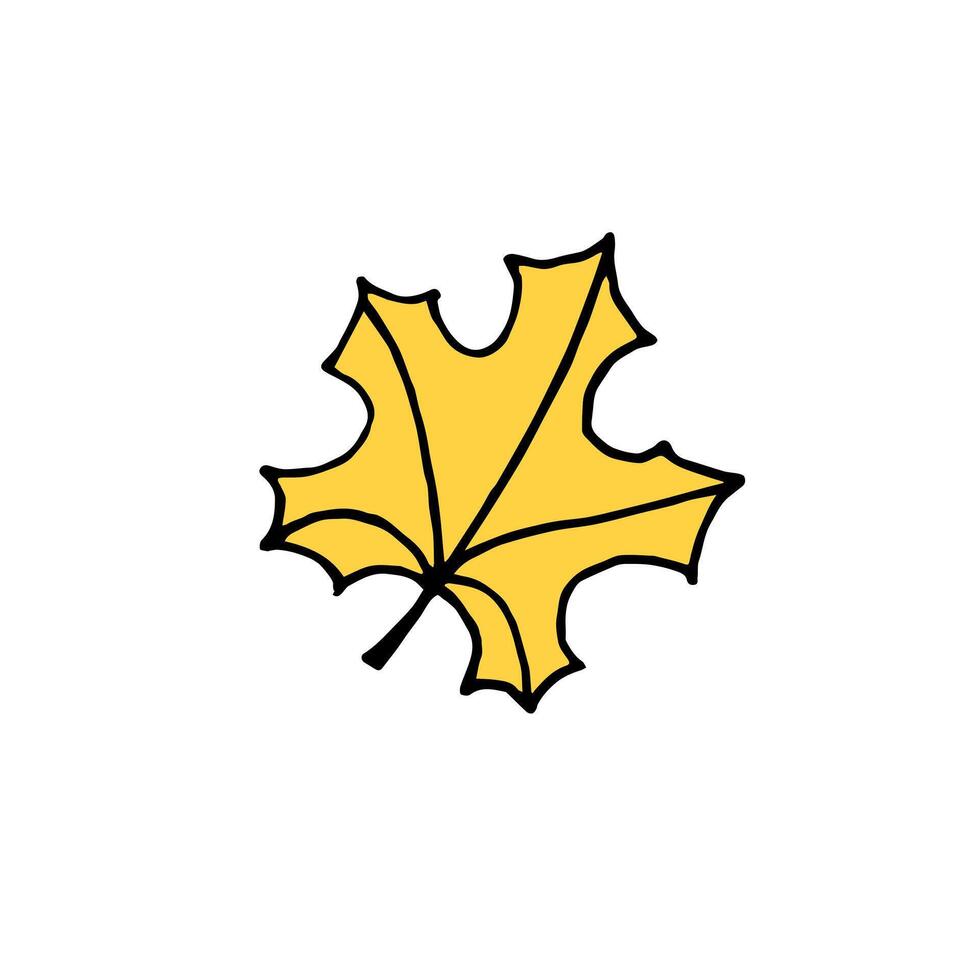 Hand drawn doodle sketch maple leaf isolated vector