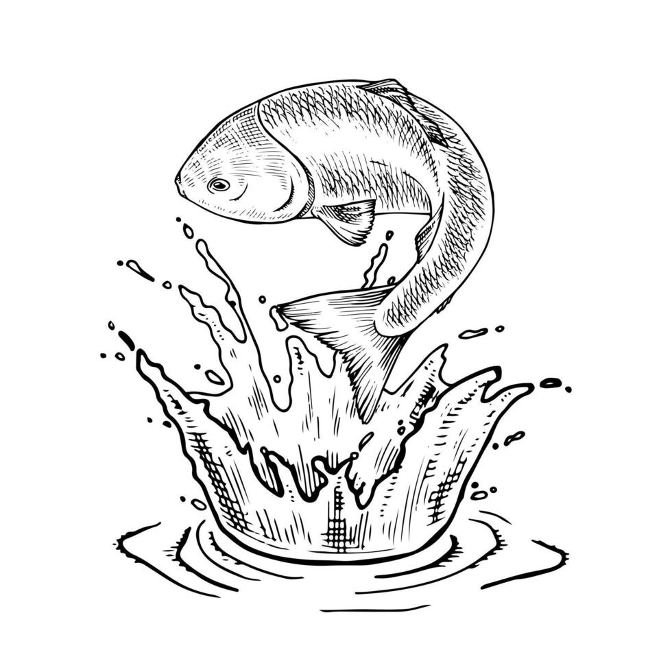 illustration of a jumping trout in black and white. This hand drawn sketch captures the fish mid leap, splashing out of the water with dynamic motion. Perfect for fishing and seafood designs vector
