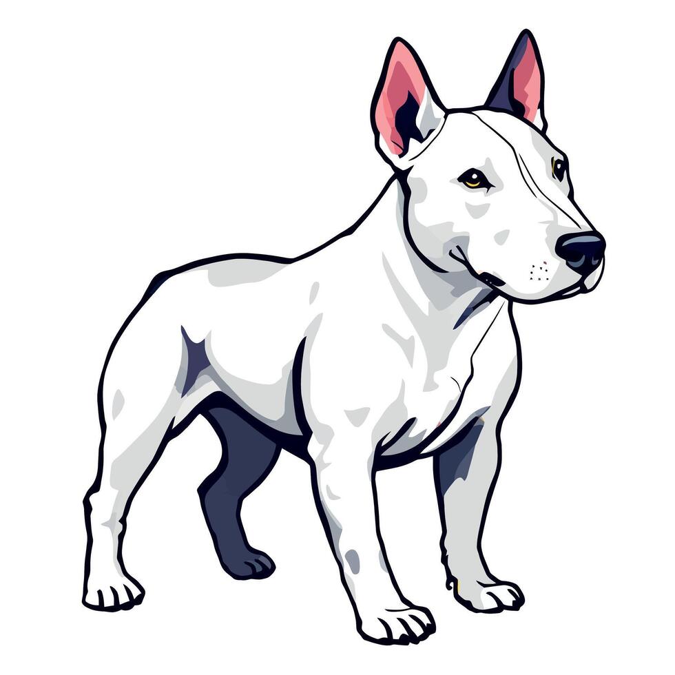 Vsai white bull terrier standing guard, protecting and displaying strength vector