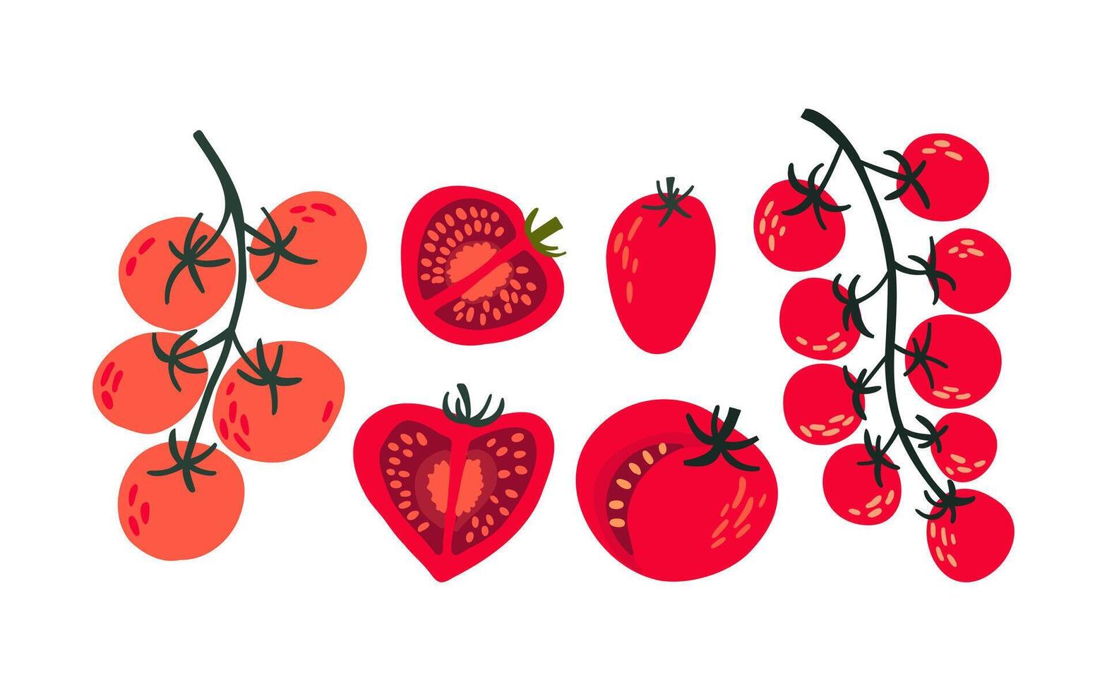 A vibrant illustration of whole and sliced tomatoes, including cherry tomatoes on a branch. Perfect for food packaging, menus, and organic product branding vector
