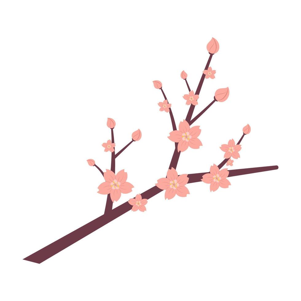 Sakura Blossom Branch Illustration Spring Flat. vector