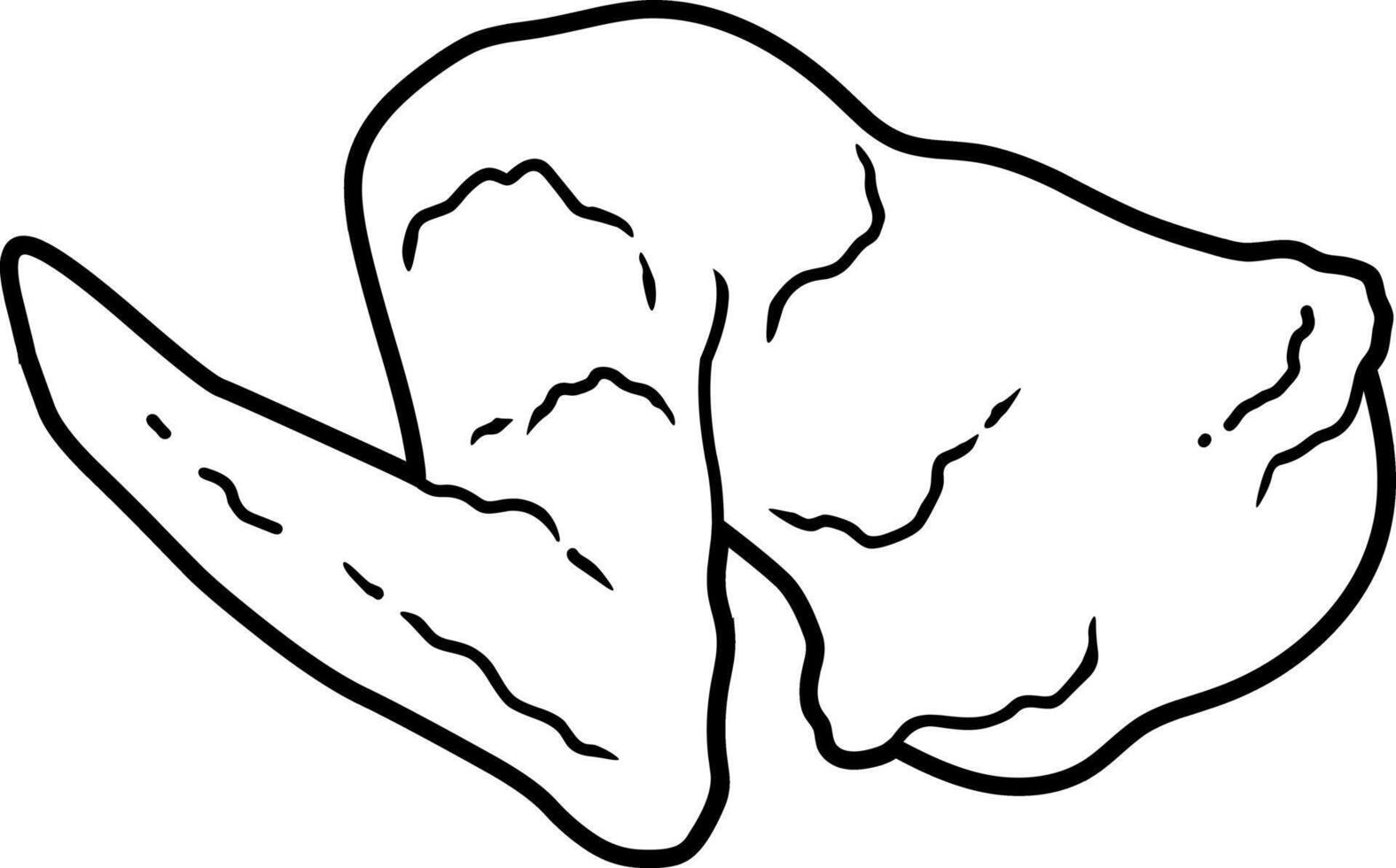 Black And White Chicken Wing In Outline Illustration Style vector