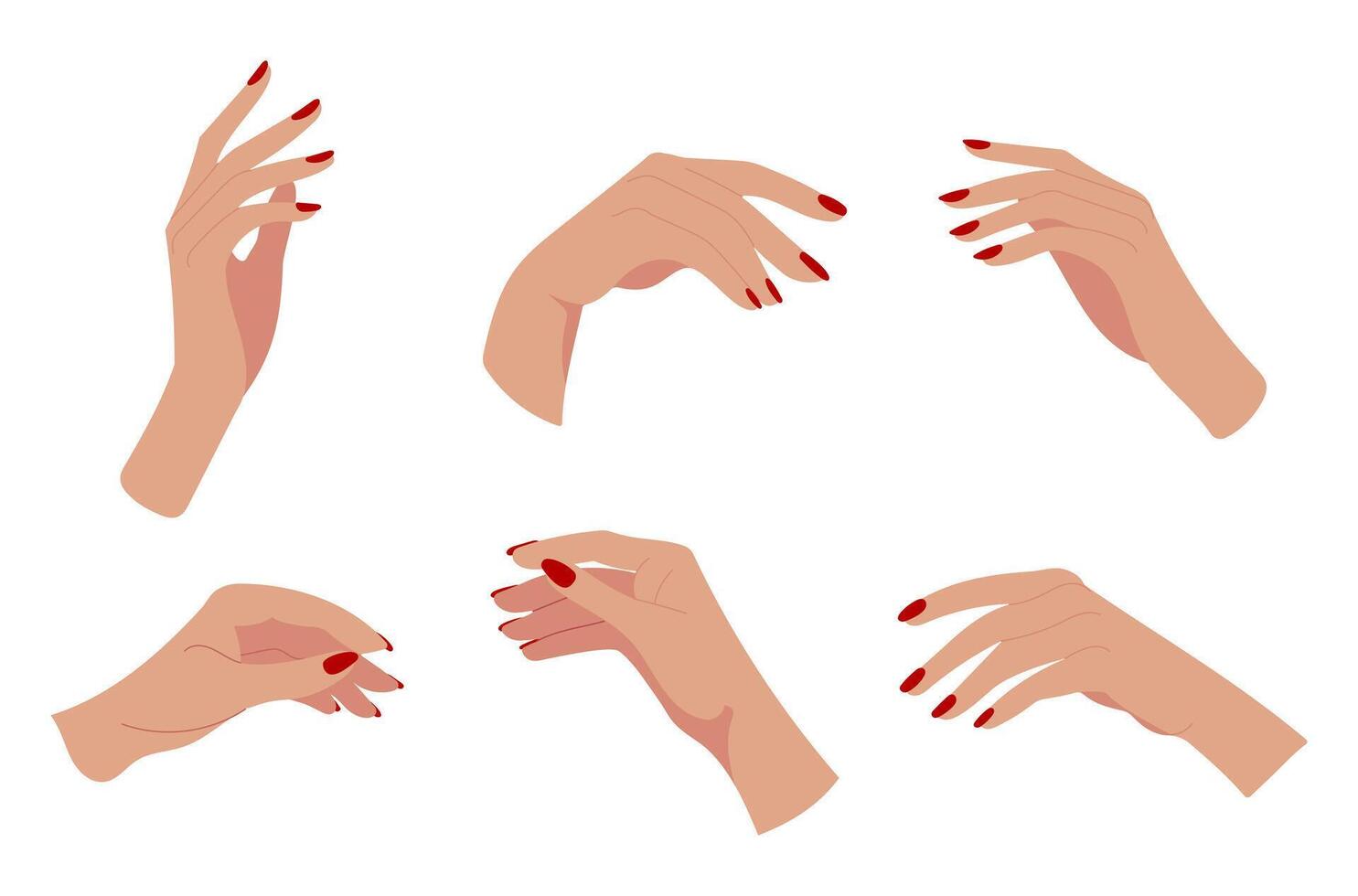 The image is a collection of six different hand drawings, all featuring red nails. The hands are shown in various poses and positions, with some fingers extended and others curled up vector