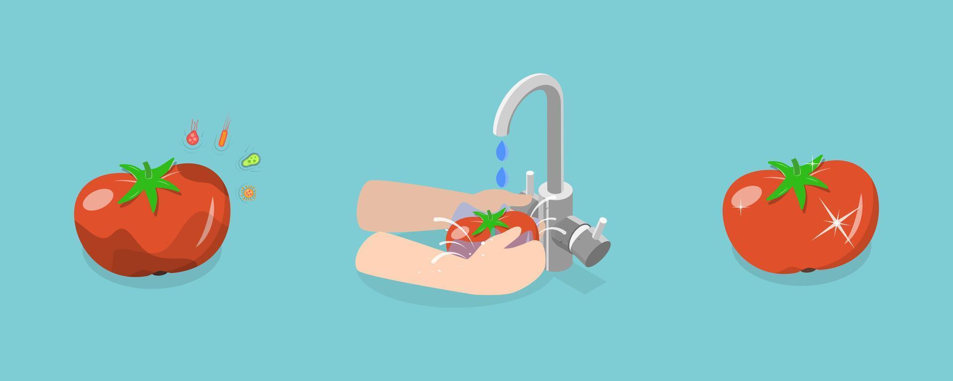 3D Isometric Flat Conceptual Illustration of Vegetable and Frute Safety, Washing Food Before Eating vector