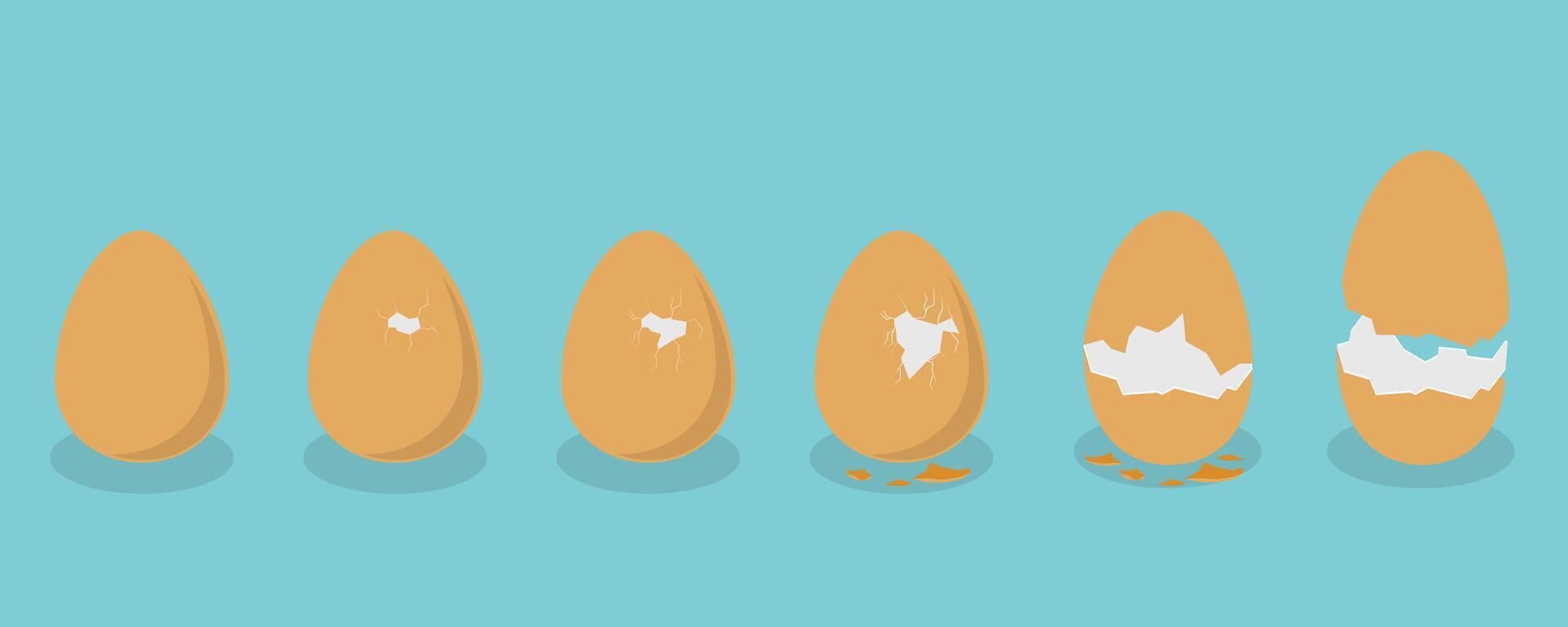 3D Isometric Flat Set of Broken Chicken Eggs, Cracked Eggshell vector