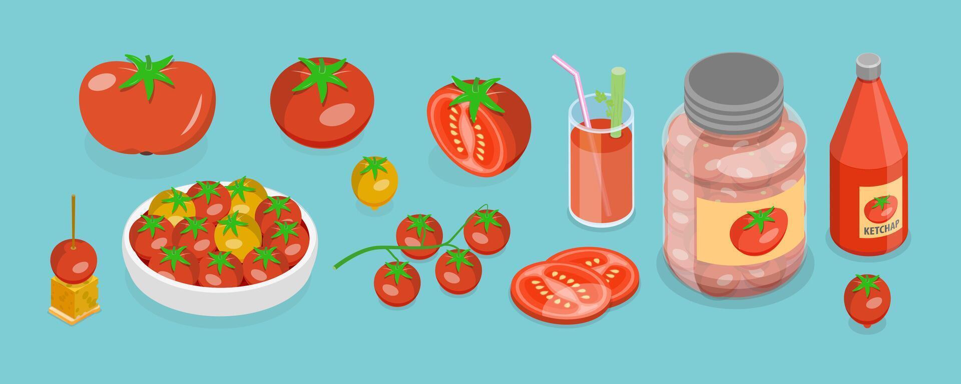 3D Isometric Flat Set of Tomato Elemets and Products, Whole, Half and Slice vector