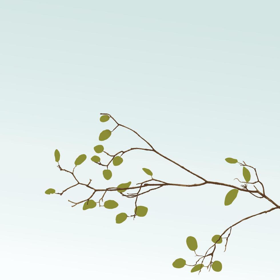A branch and green leaves with blue sky square background graphic illustration have blank space. vector