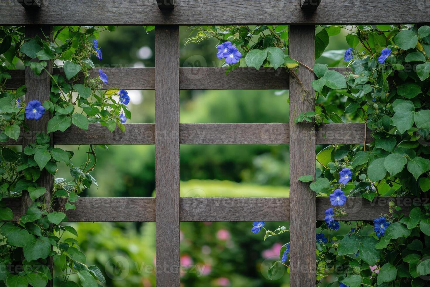 A wooden fence with ivy growing through it photo