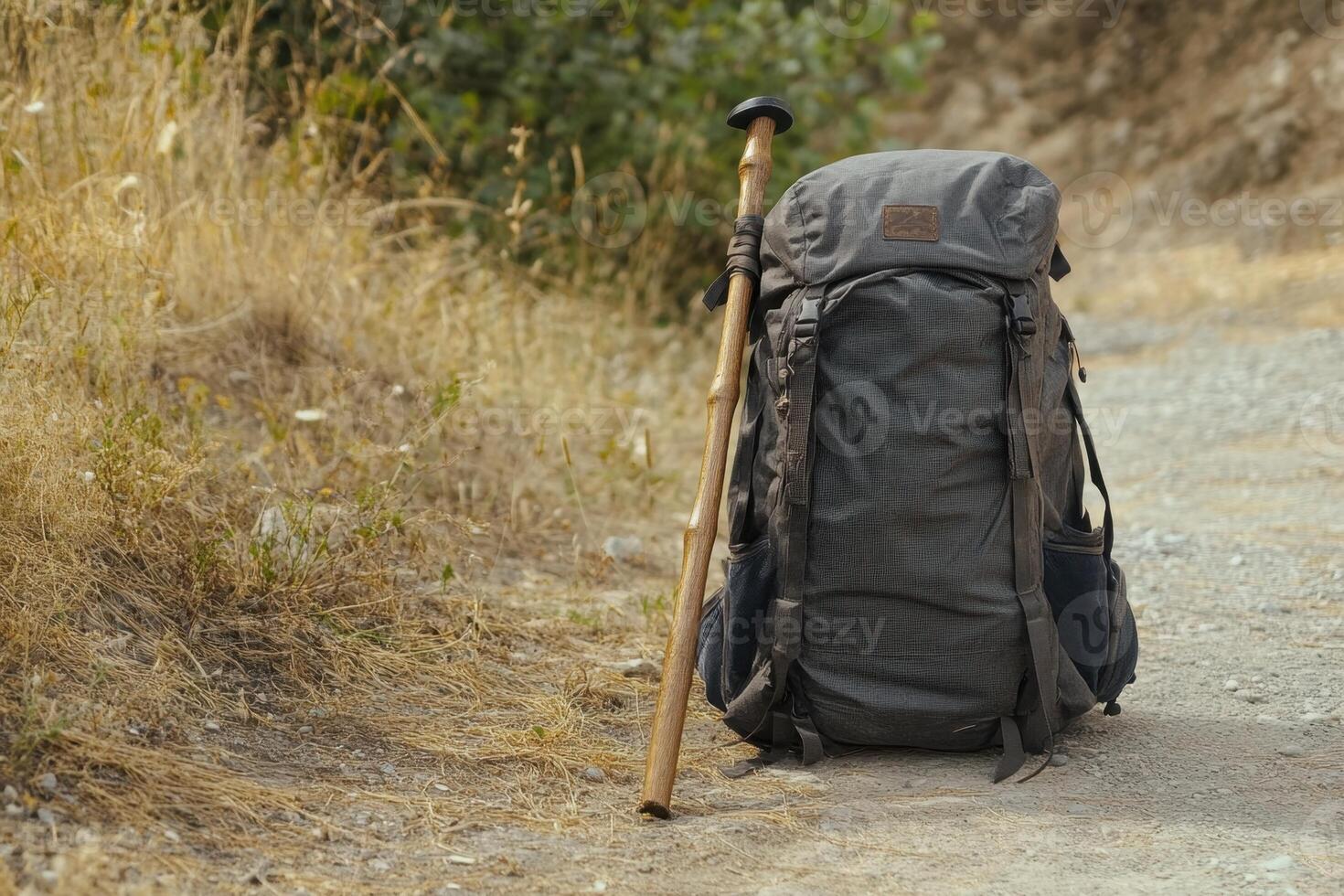A backpack is sitting on the ground next to a stick photo