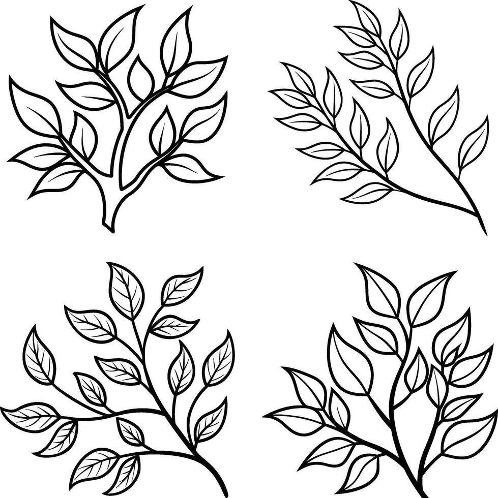 Botanical Tree Sketch Illustrations vector