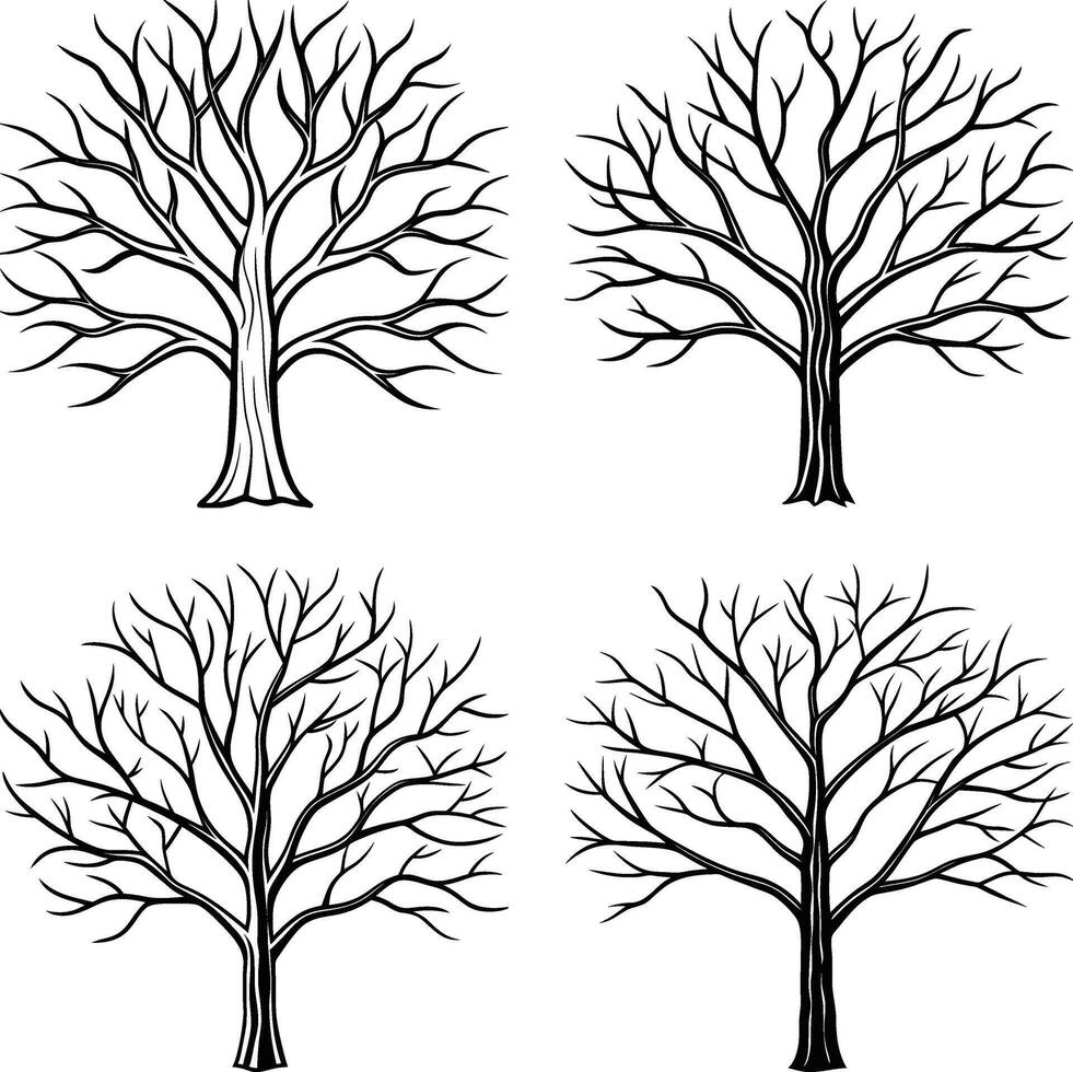 Sophisticated Tree Line Drawings vector