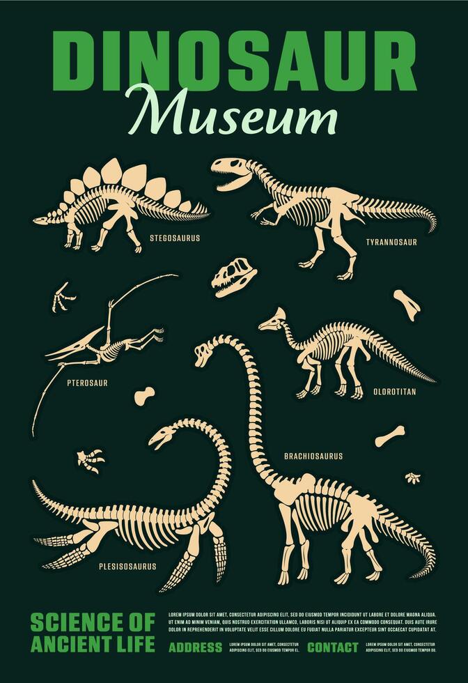 Dinosaur skeleton fossils for dino museum poster vector