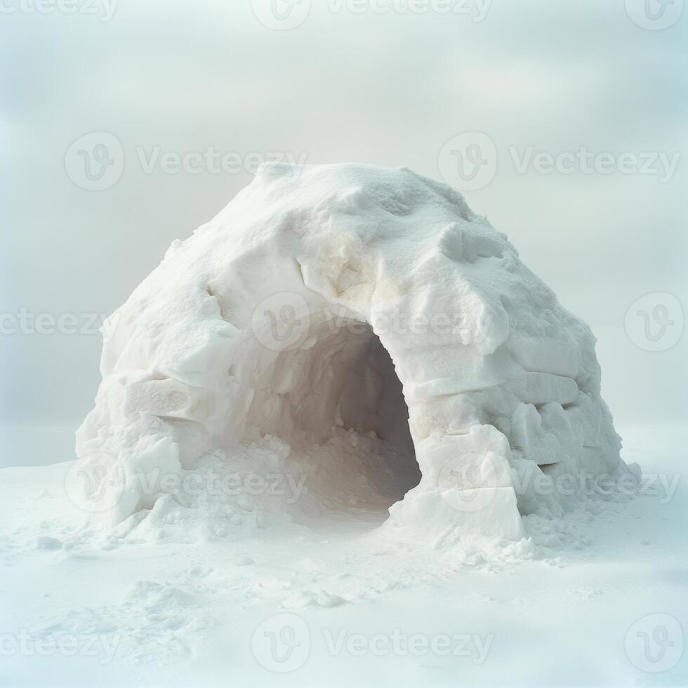 A small snow hut is built in the snow photo