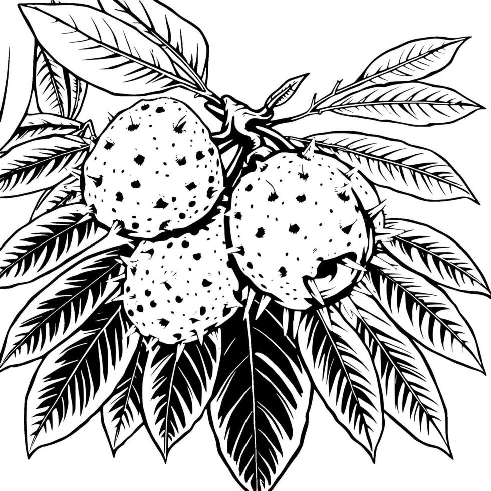 Spiky Chestnut Fruits on Branch with Lush Leaves vector