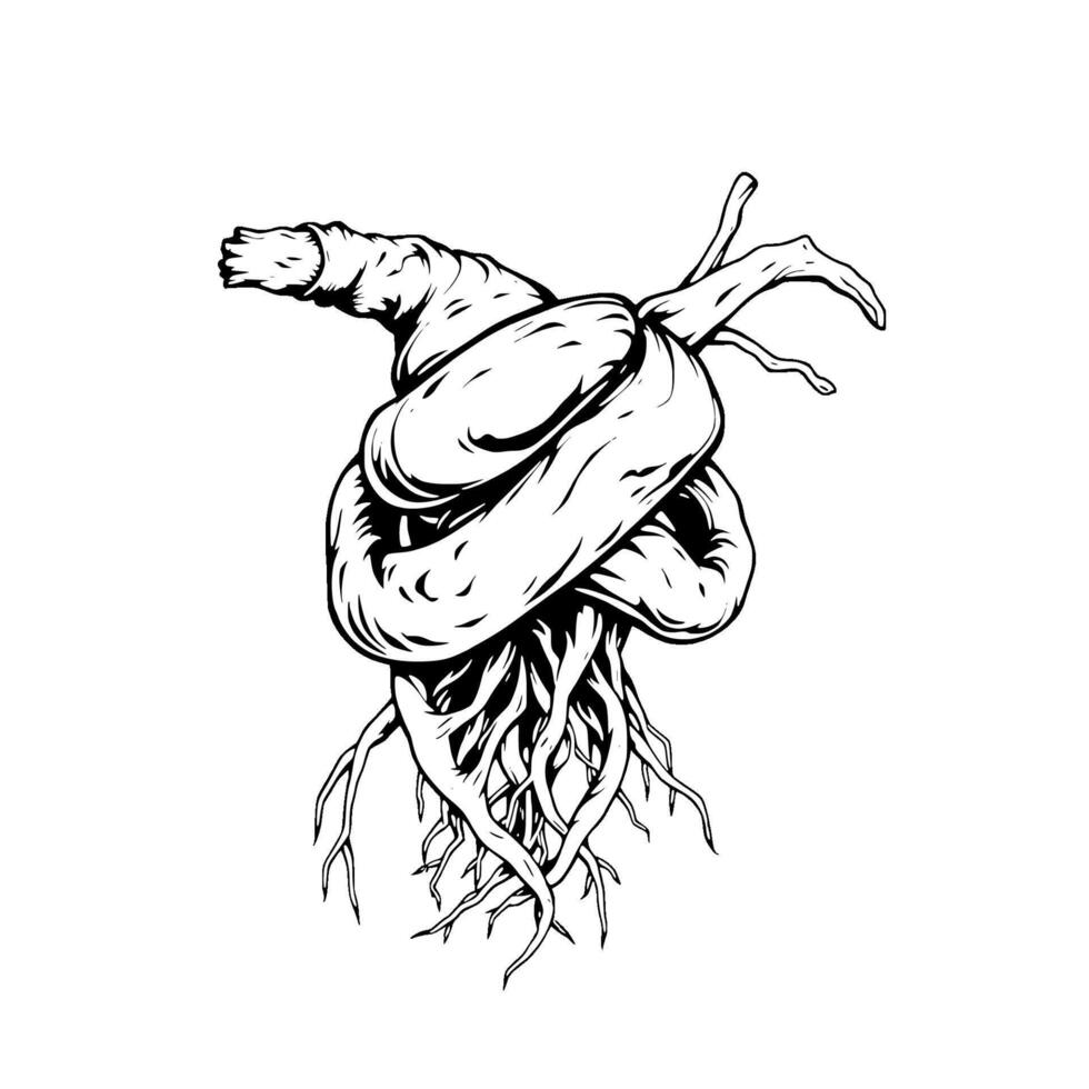 Entwined Roots Forming A Heart Shape Design vector