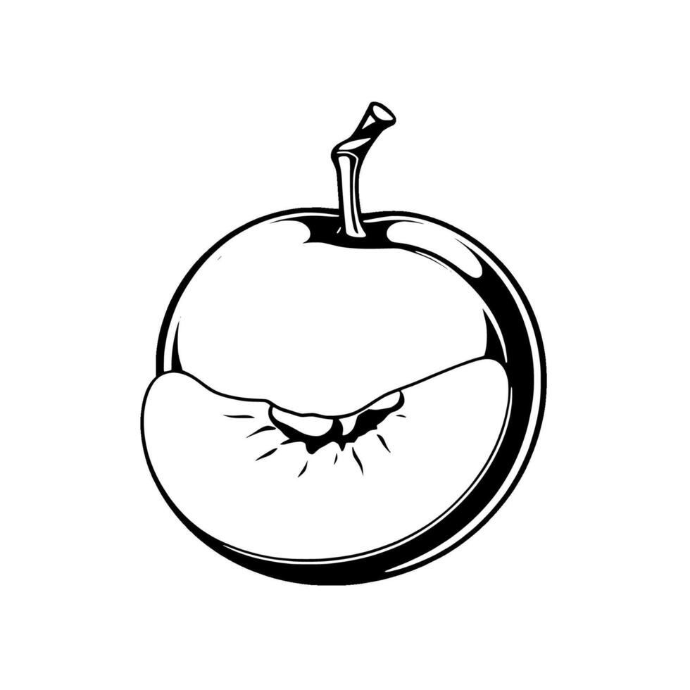 Halved Apple Illustration A Black And White Design vector