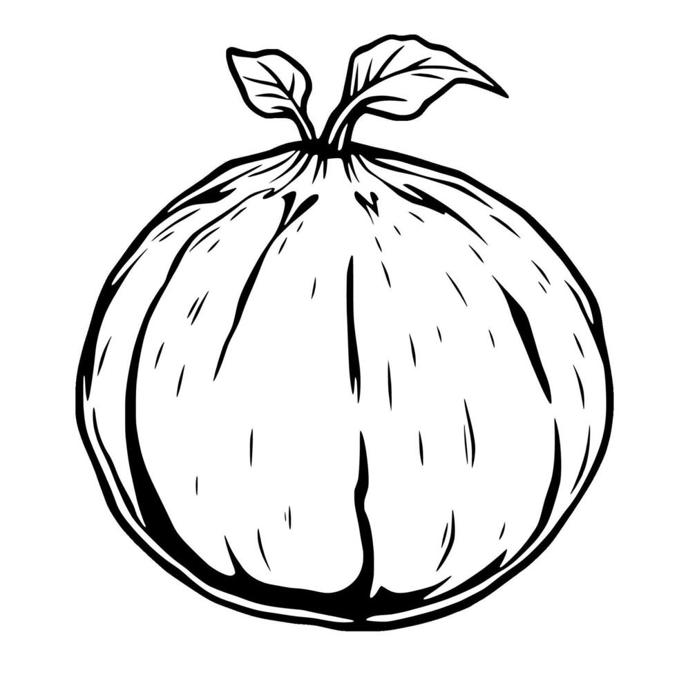 Hand-Drawn Illustration Of A Single Ripe Fig With Leaves vector