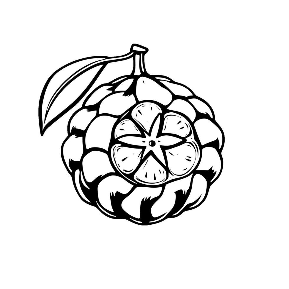 Hand-Drawn Illustration Of A Cherimoya Fruit With Leaf vector