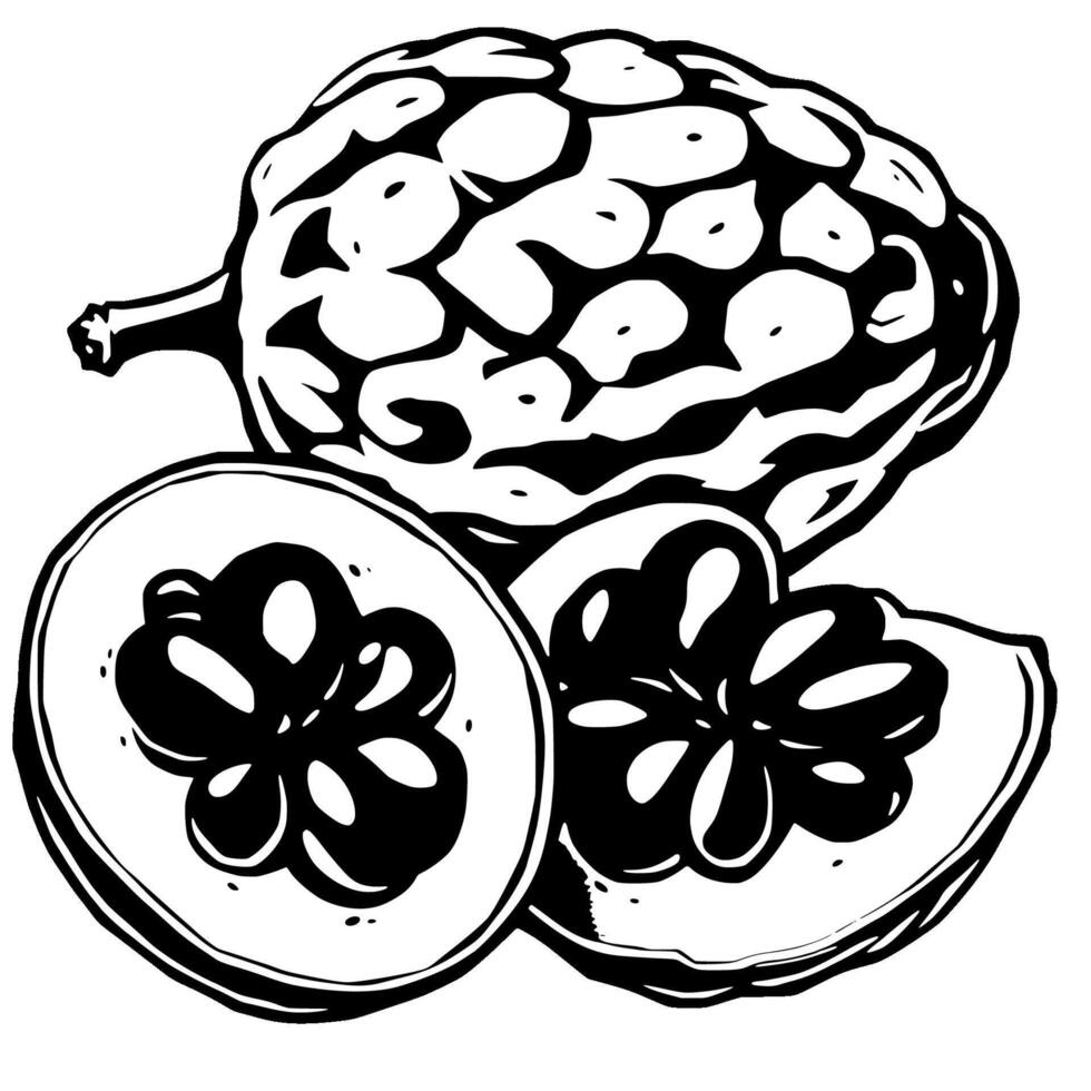 Cherimoya Fruit Whole And Sliced Black And White Illustration vector