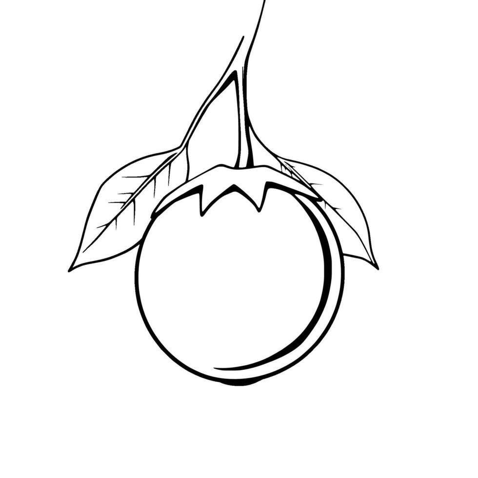 Line Drawing Of A Single Eggplant With Leaves vector