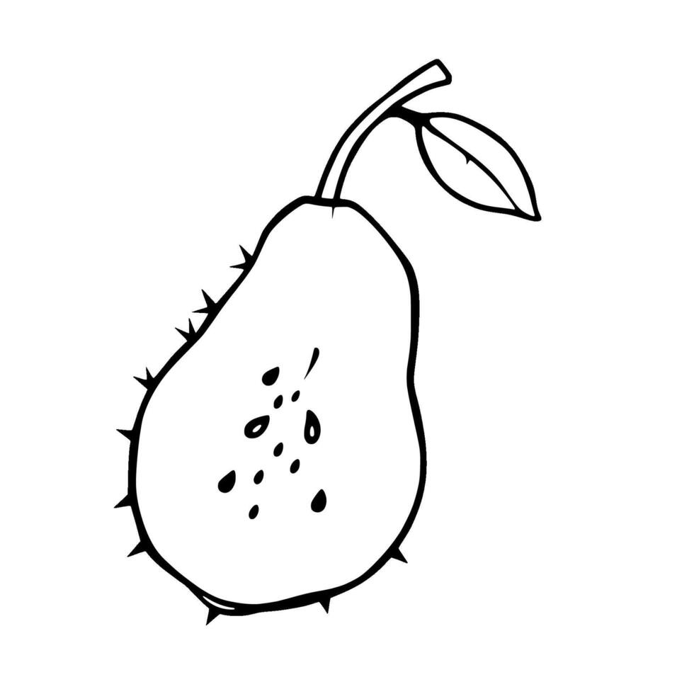 Line Drawing Of A Pear With Seeds And Leaf vector