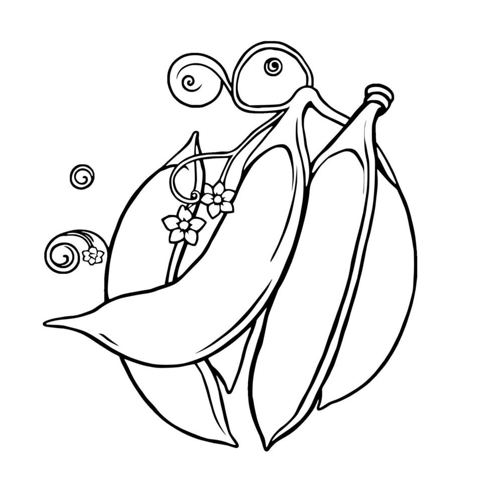 Ornate Line Drawing Of Fresh Garden Peas With Flowers vector