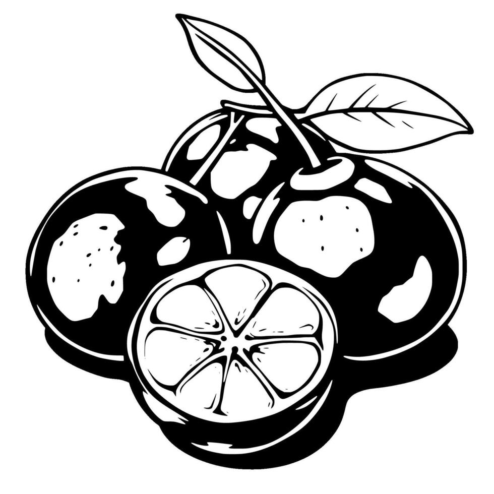 Stylized Black And White Illustration Of Limes With Leaves vector