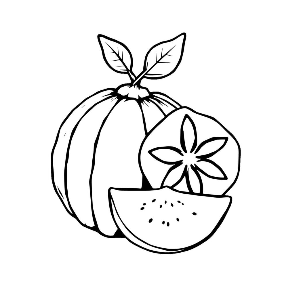 Vibrant Illustration of a Quince Fruit with Slices vector