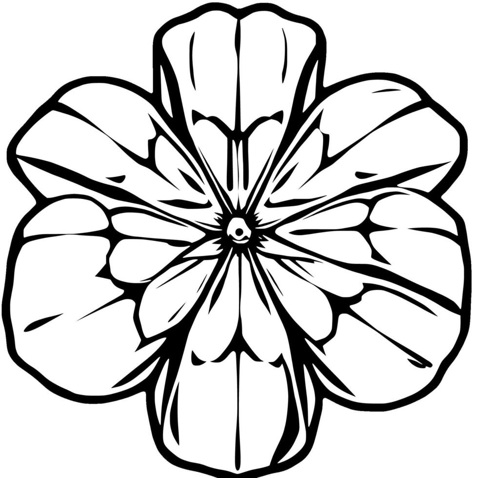 Detailed Line Art Drawing Of A Symmetrical Flower vector