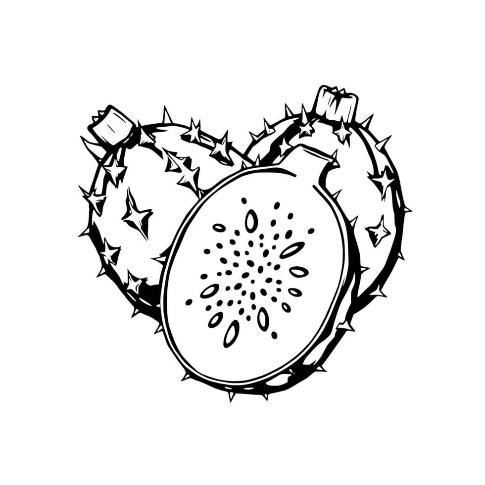 Prickly Pear Cactus Fruit A Heart-Shaped Design vector