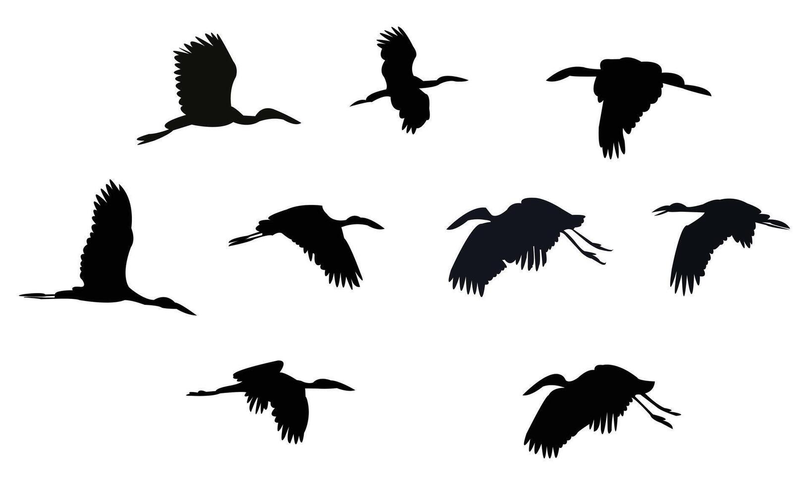 Flying African openbill bird Silhouette Collection vector