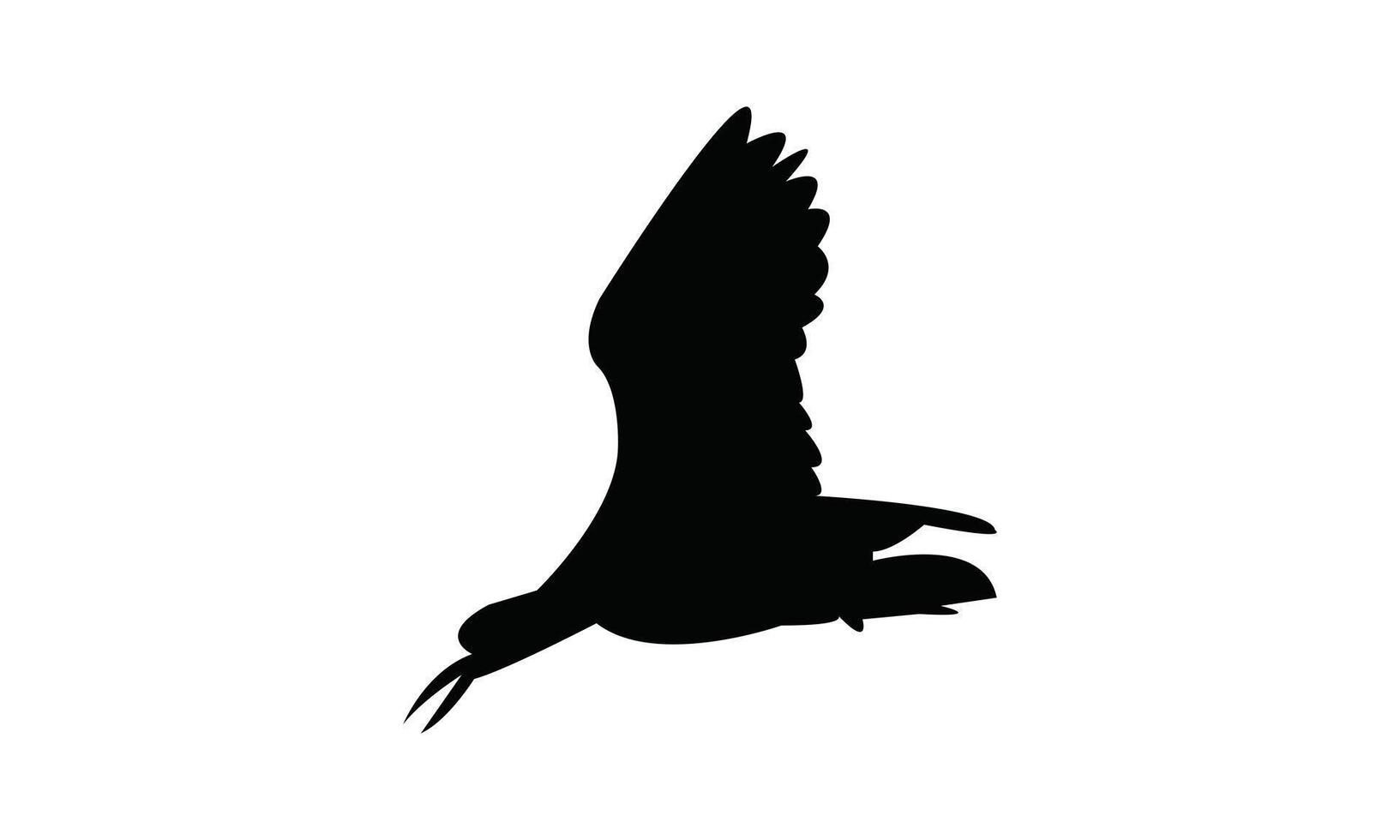 Flying African oystercatcher bird Silhouette Design vector