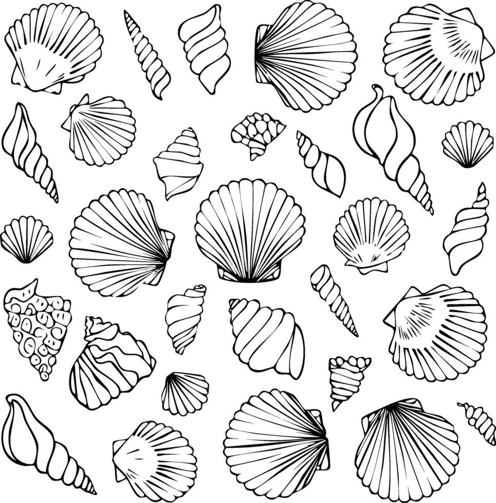 seashells line art black white vector
