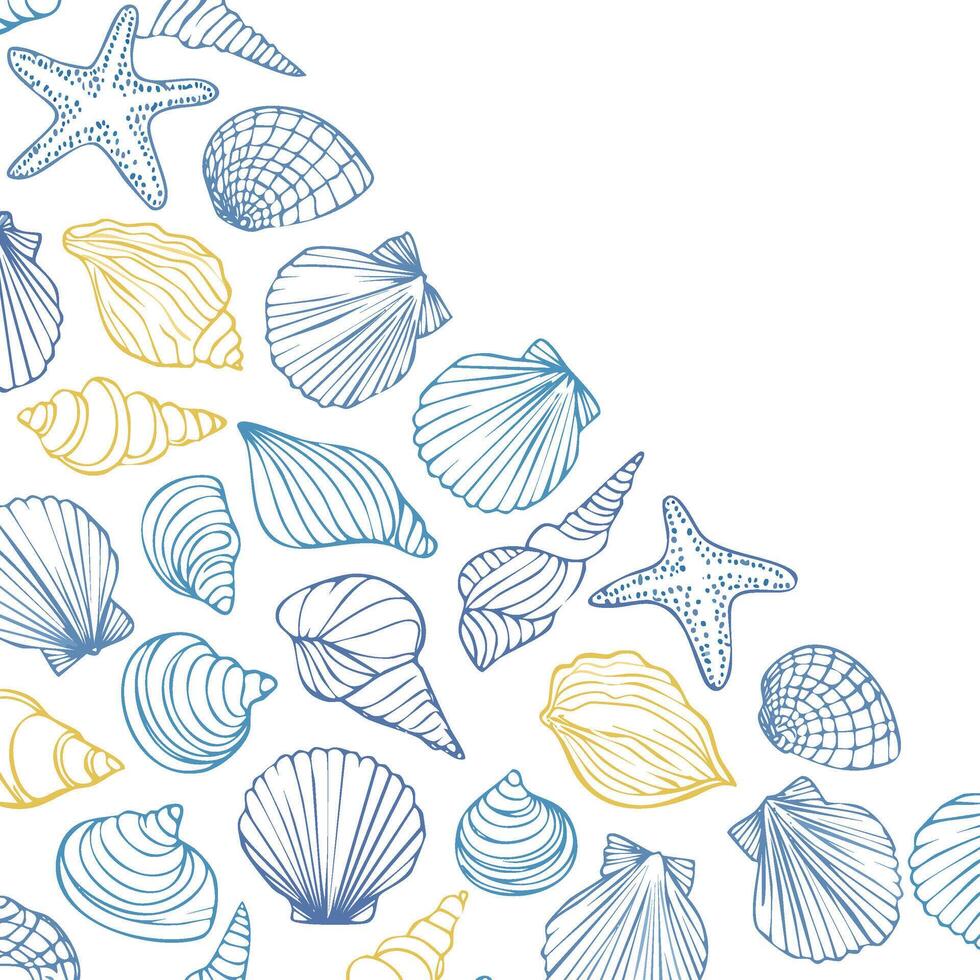 seashells line art vector