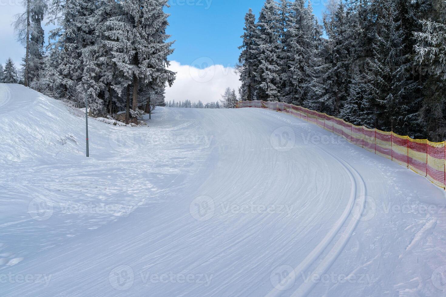 Snowy Ski Trail in a Winter Forest with Orange Safety Fence photo