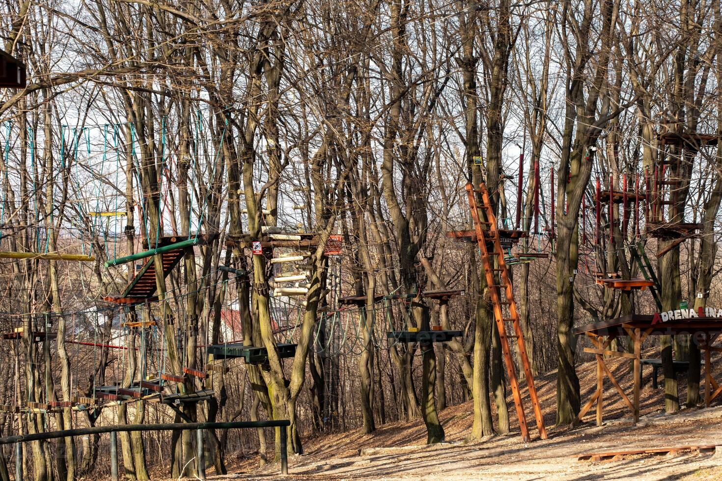 Aerial Rope Park in Winter with Platforms and Bare Trees photo