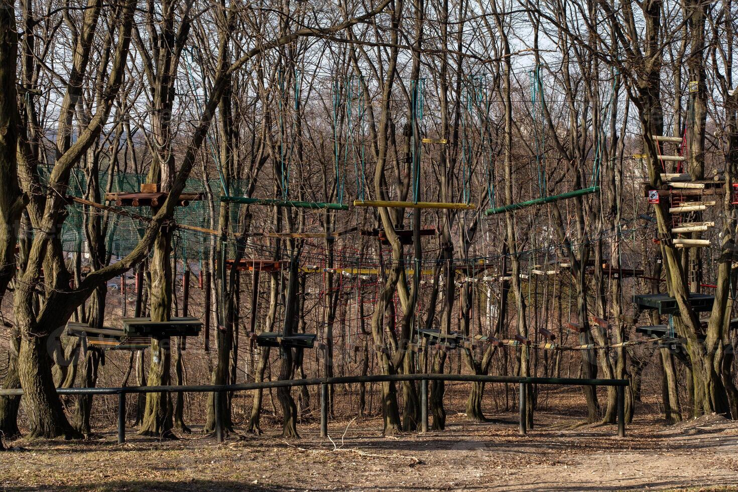 Rope Bridges and Platforms in a Winter Forest Adventure Park photo