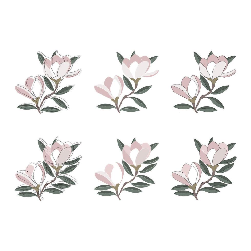 Magnolia Flower Branch Set Elegant Botanical Illustrations vector