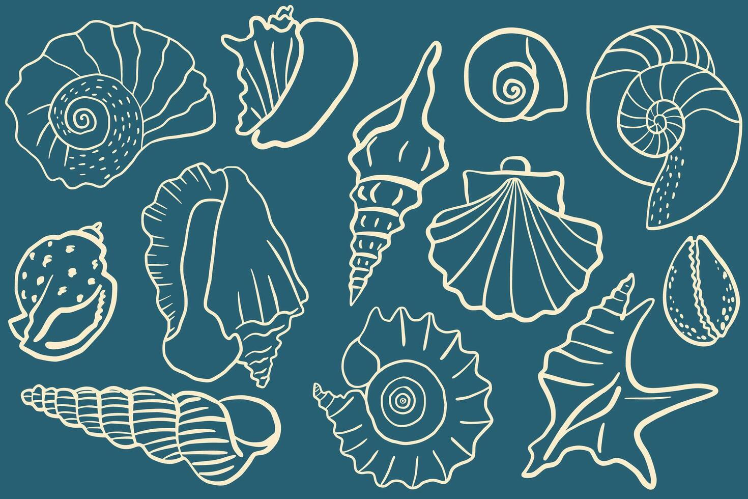 Set of ink seashell illustrations. Various shell types in a minimalistic line art style. Summer, vacation, ocean, beach concept. Design elements for trendy prints, label, menu cover. vector