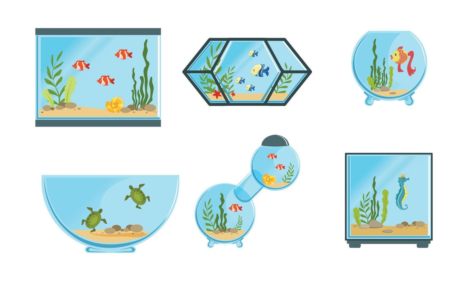 Collection of Aquarium Tanks of Different Shapes with Sea or Ocean Fishes and Seaweeds Illustration vector