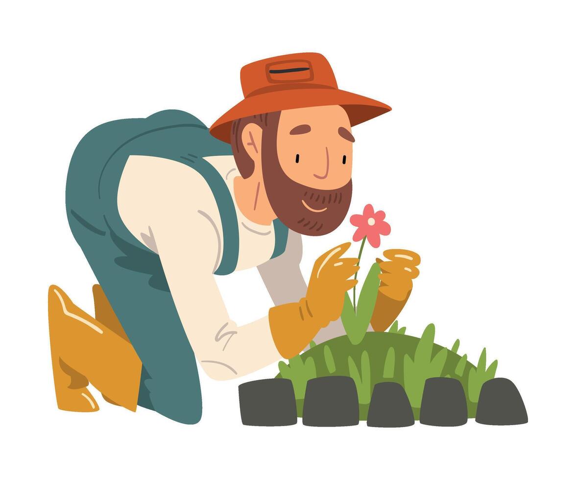 Man Gardener Planting and Admiring Flower, Cheerful Male Farmer Character in veralls Working at Garden or Farm Illustration vector